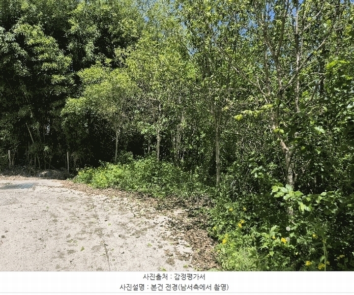2025타경31183 경상북도 성주군 초전면 용성리 438 대지 경매 이미지
