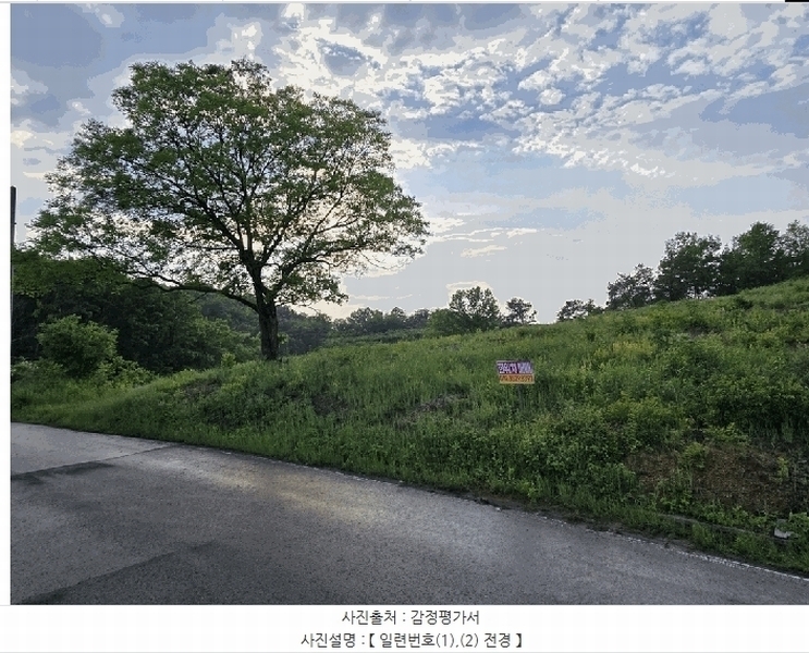 2025타경31249 대구광역시 달성군 구지면 목단리 332-1 임야 경매 이미지