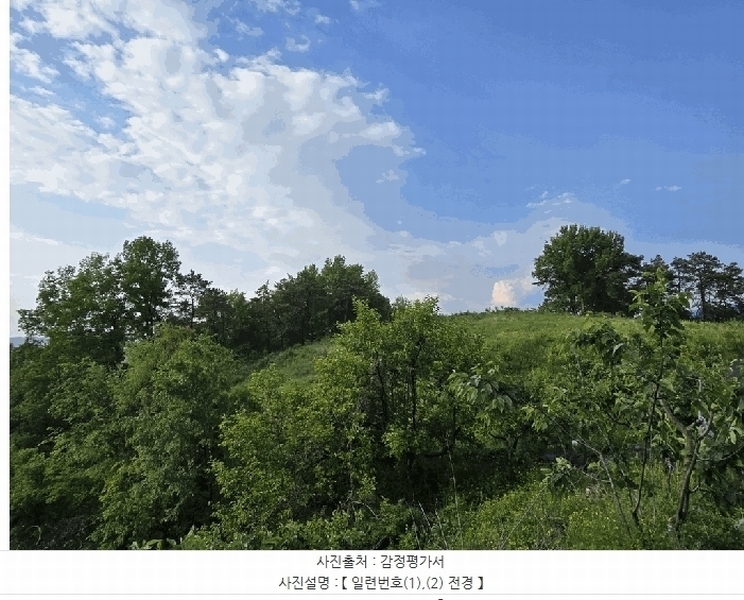 2025타경31249 대구광역시 달성군 구지면 목단리 332-1 임야 경매 이미지