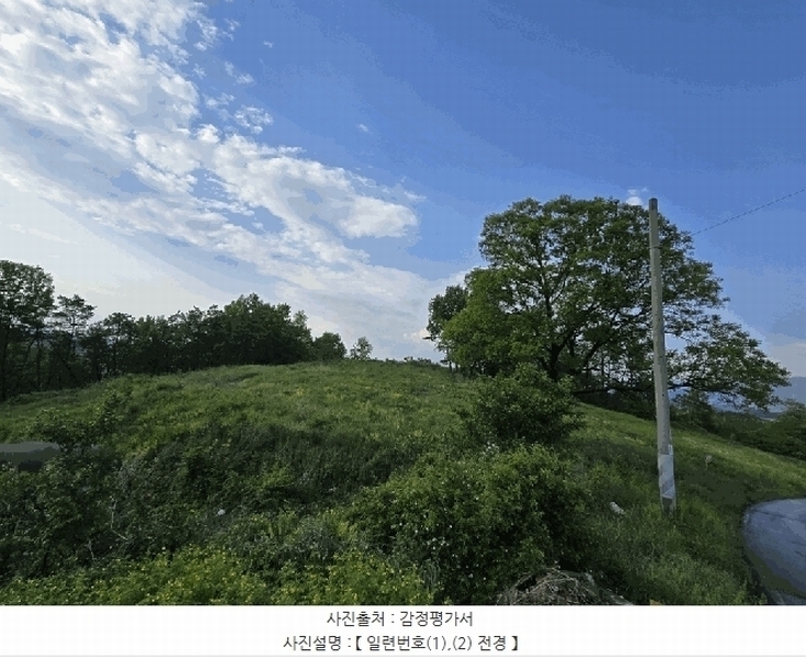 2025타경31249 대구광역시 달성군 구지면 목단리 332-1 임야 경매 이미지