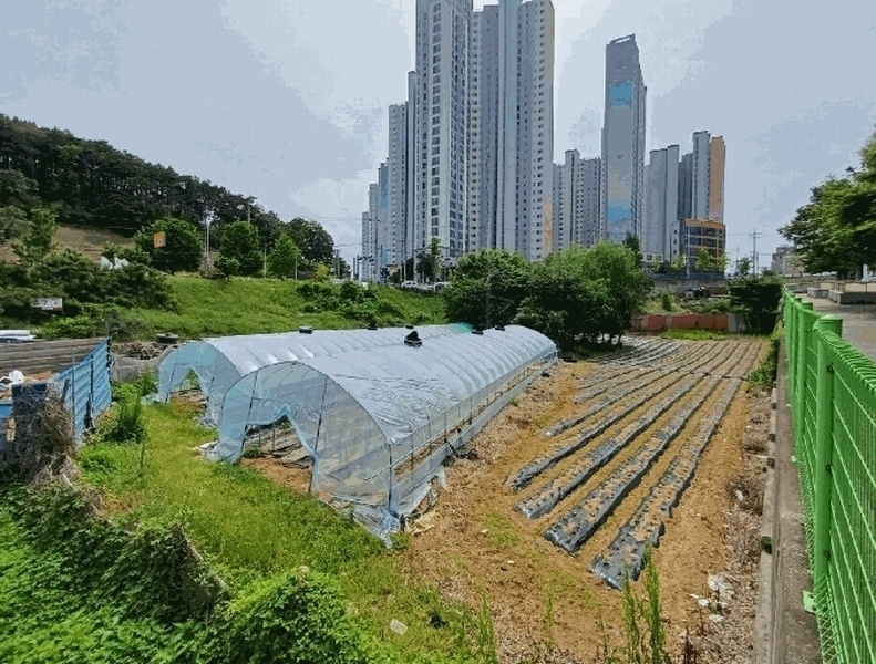 2025타경31285 대구광역시 달성군 다사읍 매곡리 693-2 유지 경매 이미지