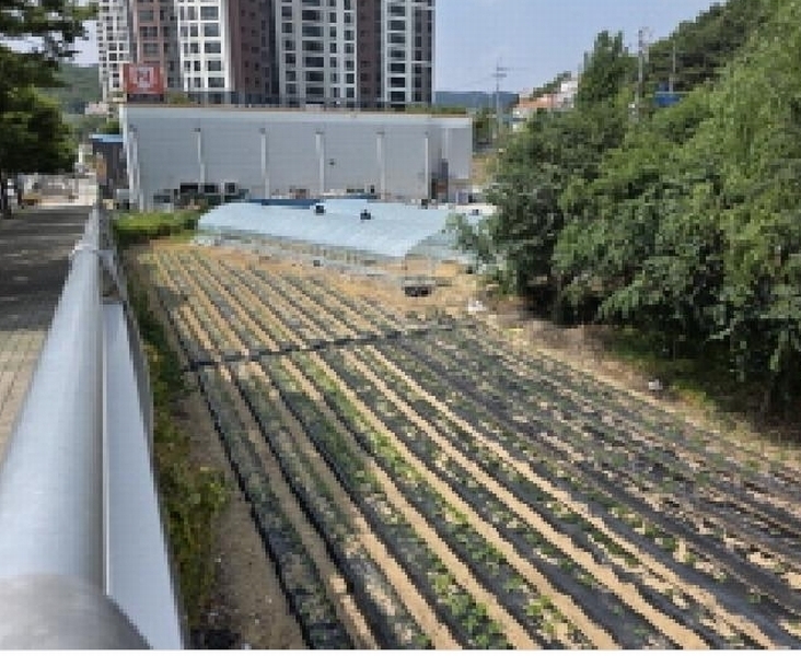 2025타경31285 대구광역시 달성군 다사읍 매곡리 693-2 유지 경매 이미지