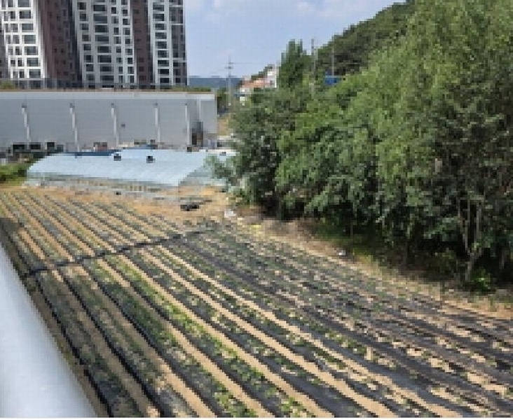 2025타경31285 대구광역시 달성군 다사읍 매곡리 693-2 유지 경매 이미지