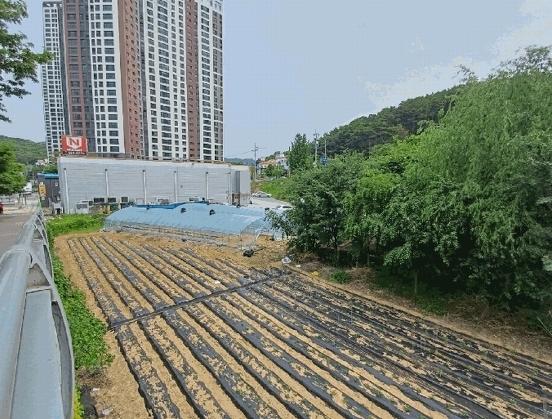 2025타경31285 대구광역시 달성군 다사읍 매곡리 693-2 유지 경매 이미지