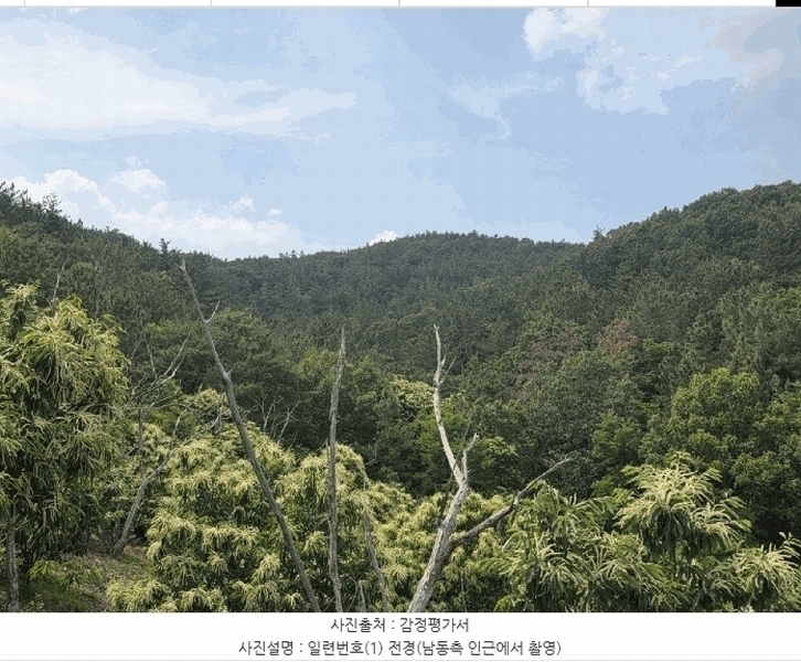 2025타경31322 대구광역시 달성군 하빈면 대평리 산19-1 임야 경매 이미지