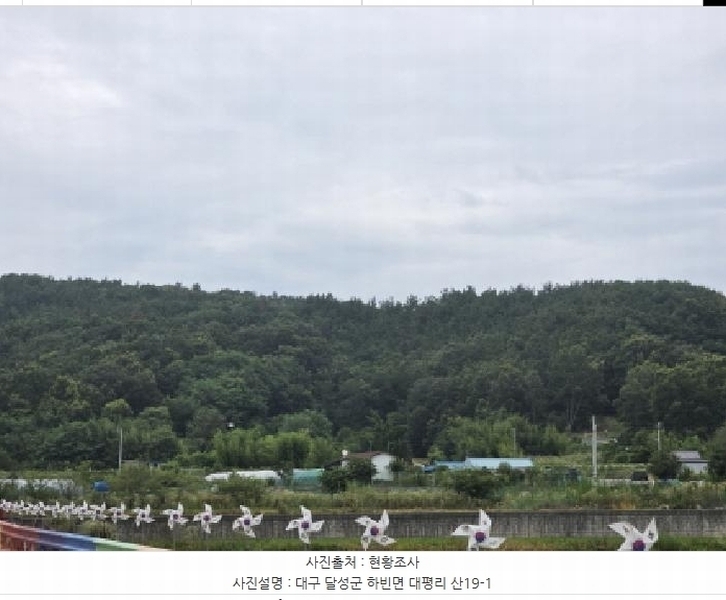 2025타경31322 대구광역시 달성군 하빈면 대평리 산19-1 임야 경매 이미지