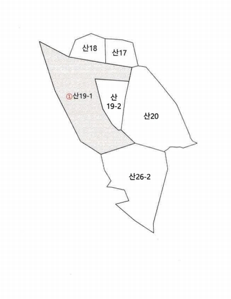 2025타경31322 대구광역시 달성군 하빈면 대평리 산19-1 임야 경매 이미지