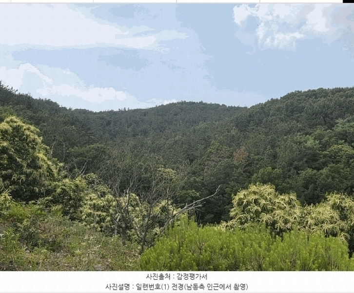 2025타경31322 대구광역시 달성군 하빈면 대평리 산19-1 임야 경매 이미지