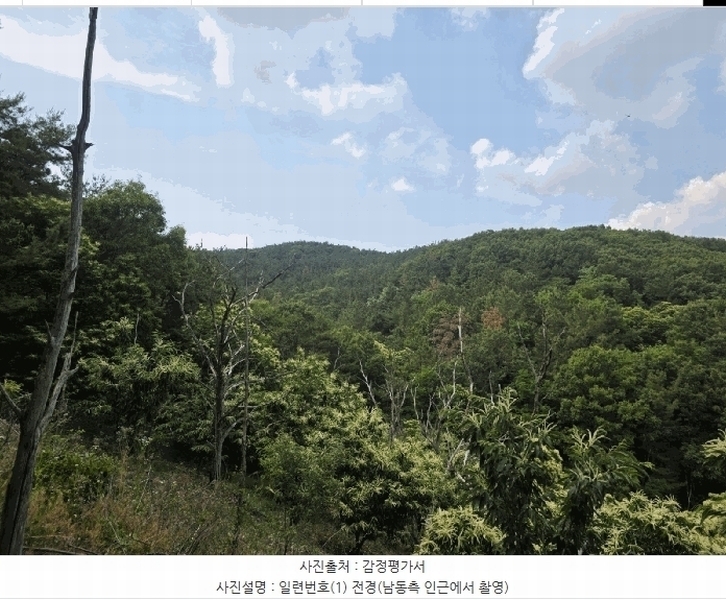 2025타경31322 대구광역시 달성군 하빈면 대평리 산19-1 임야 경매 이미지