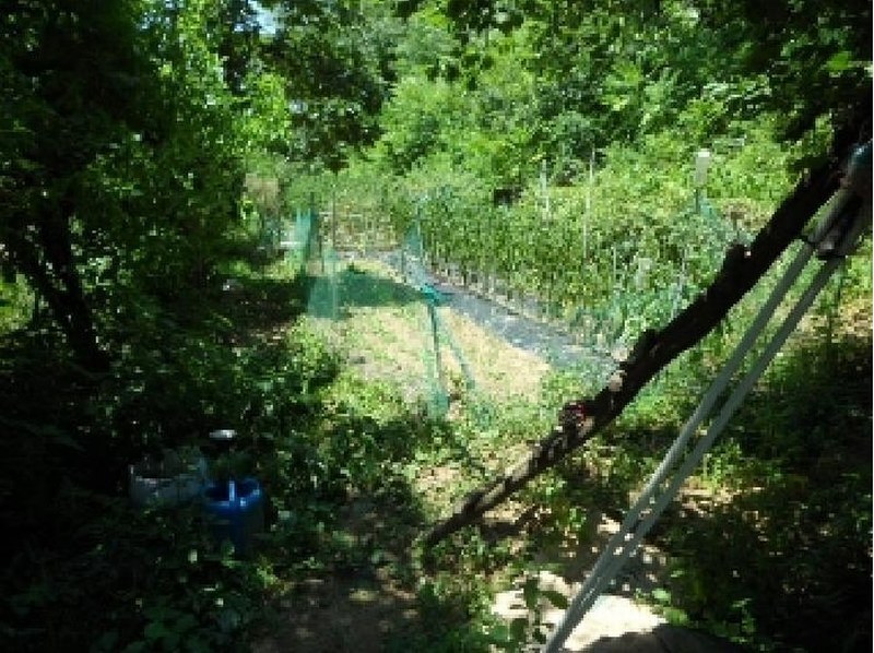 2025타경31388 대구광역시 달성군 화원읍 명곡리 354 농지 경매 이미지
