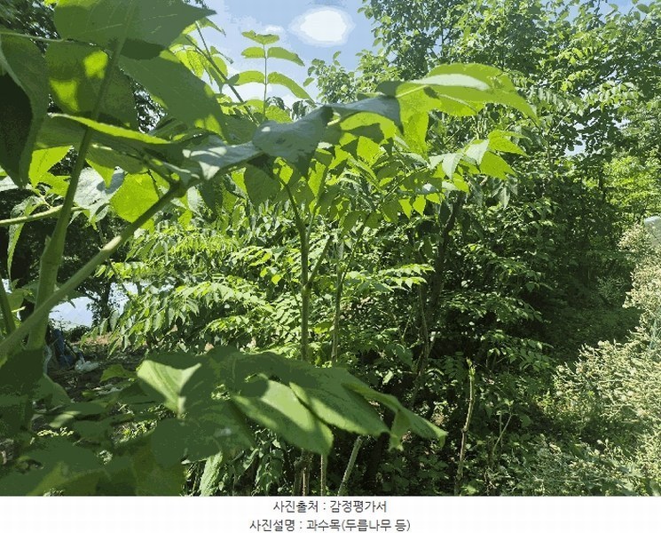 2025타경31388 대구광역시 달성군 화원읍 명곡리 354 농지 경매 이미지