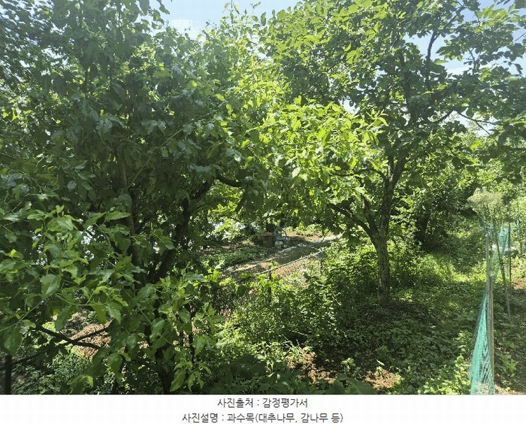 2025타경31388 대구광역시 달성군 화원읍 명곡리 354 농지 경매 이미지