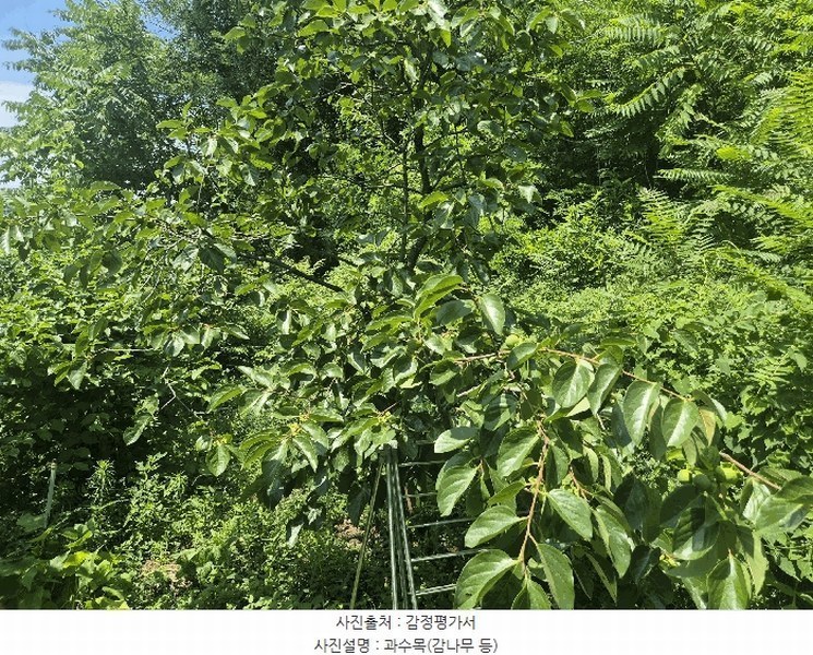 2025타경31388 대구광역시 달성군 화원읍 명곡리 354 농지 경매 이미지
