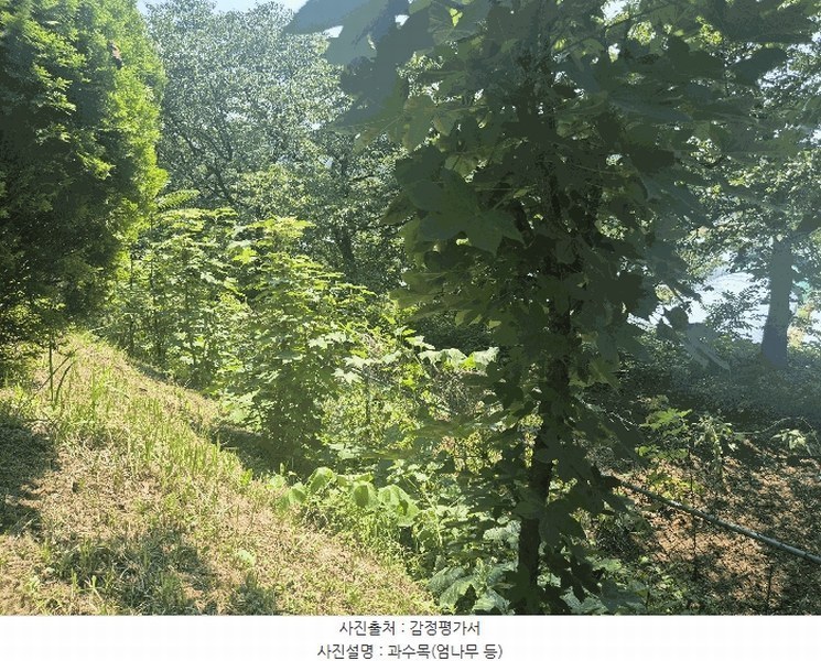 2025타경31388 대구광역시 달성군 화원읍 명곡리 354 농지 경매 이미지
