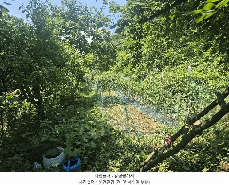 2025타경31388 대구광역시 달성군 화원읍 명곡리 354 농지 경매 이미지