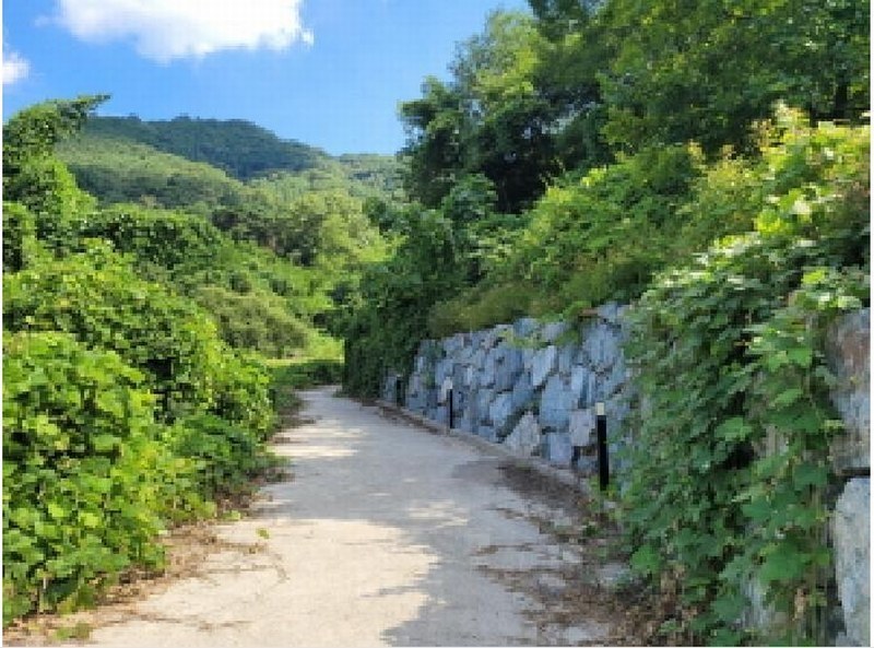 2025타경31460 대구광역시 달성군 가창면 우록리 412 농지 경매 이미지