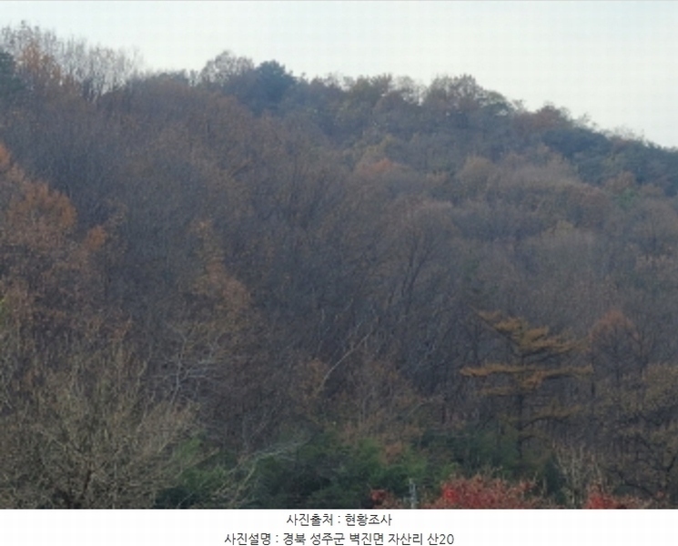 2024타경41977 경상북도 성주군 벽진면 자산리 산20 임야 경매 이미지