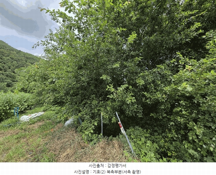 2025타경2078 대구광역시 달성군 가창면 주리 227 농지 경매 이미지