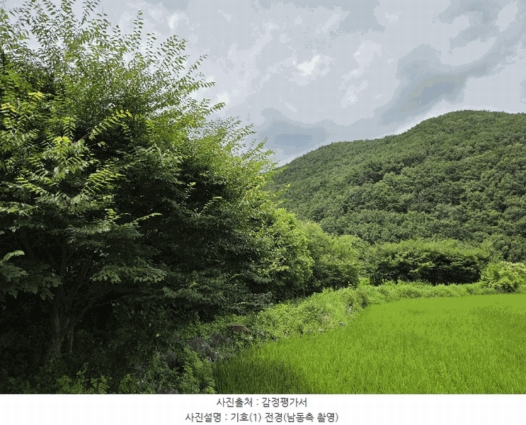 2025타경2078 대구광역시 달성군 가창면 주리 227 농지 경매 이미지