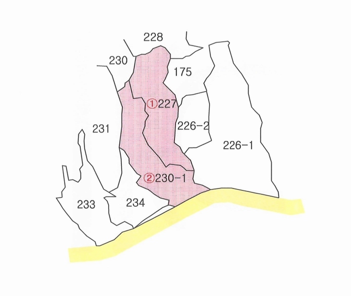 2025타경2078 대구광역시 달성군 가창면 주리 227 농지 경매 이미지