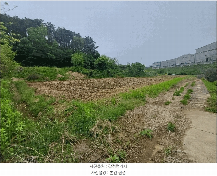 2025타경31229 대구광역시 달성군 구지면 예현리 495-7 농지 경매 이미지