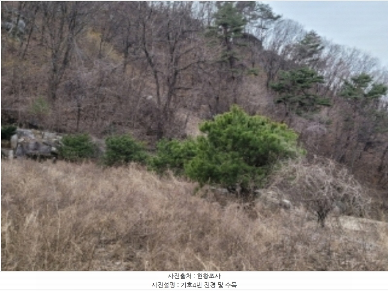 2024타경491 경상북도 영주시 봉현면 한천리 463-4 대지 경매 이미지
