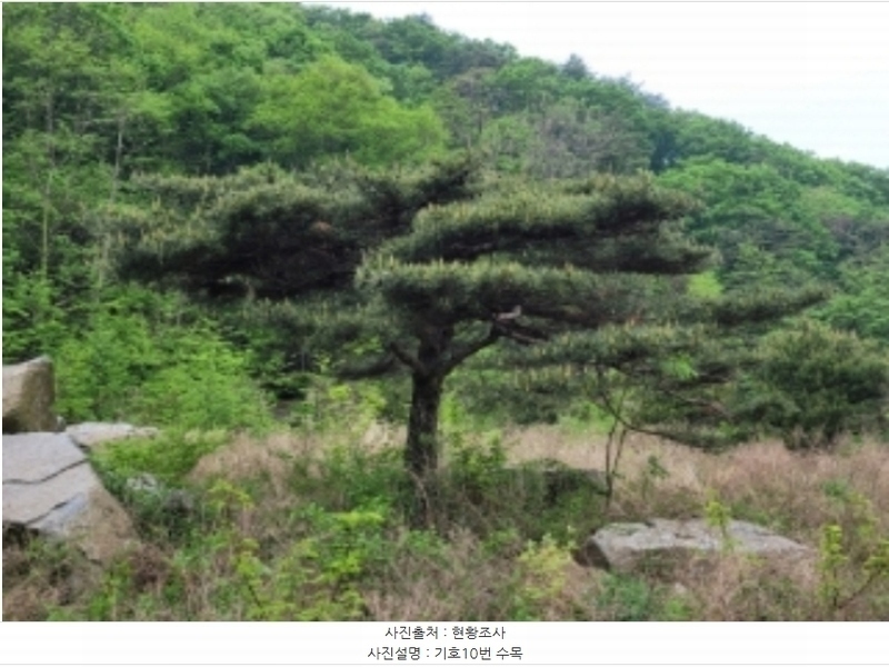 2024타경491 경상북도 영주시 봉현면 한천리 463-4 대지 경매 이미지