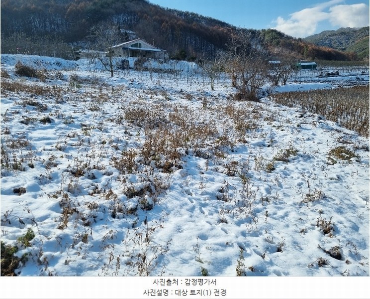 2024타경1852 경상북도 봉화군 춘양면 학산리 309-3 과수원 경매 이미지