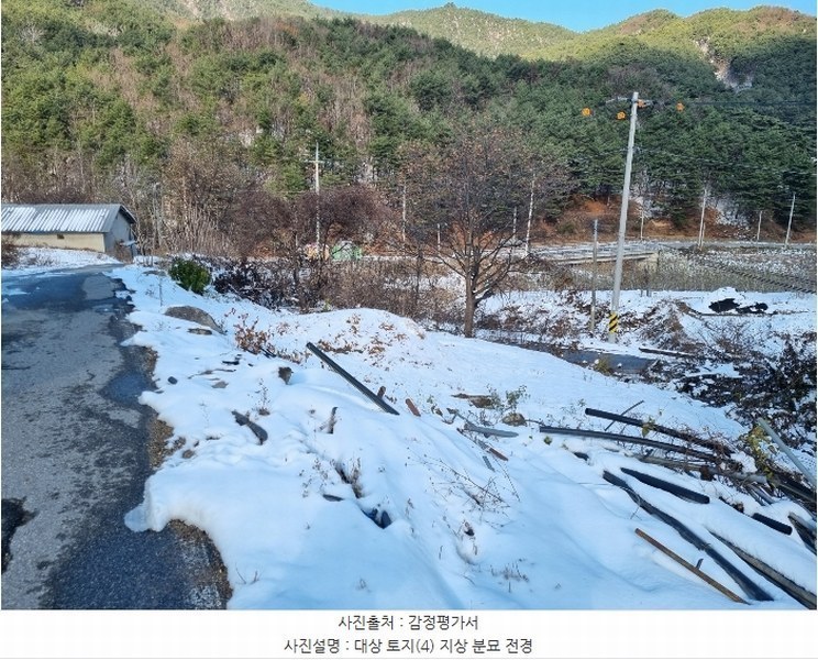 2024타경1852 경상북도 봉화군 춘양면 학산리 309-3 과수원 경매 이미지