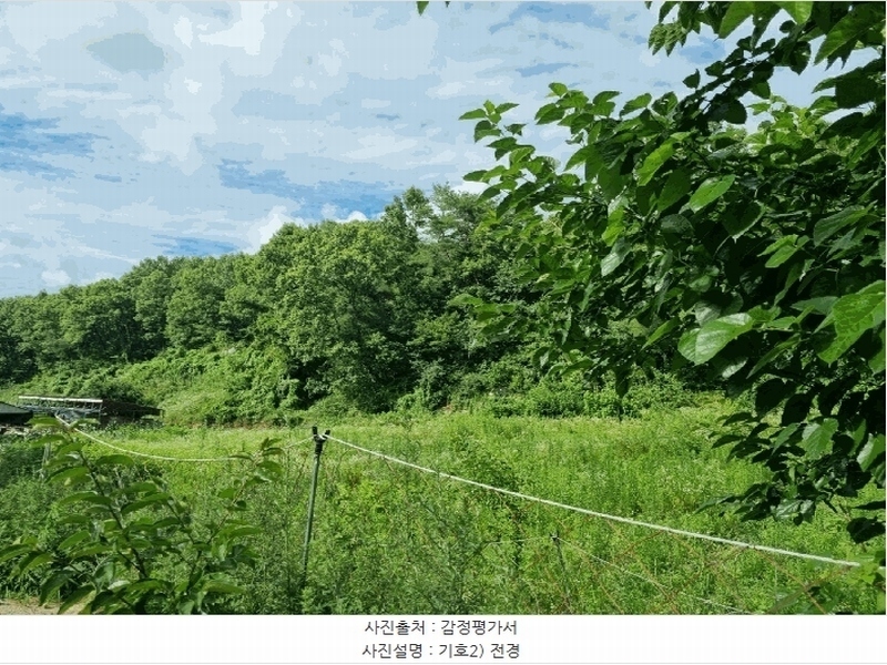 2024타경102106 경상북도 안동시 이천동 800-2 농지 경매 이미지