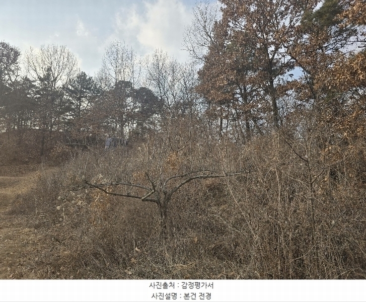 2024타경104119 경상북도 안동시 서후면 광평리 63 농지 경매 이미지