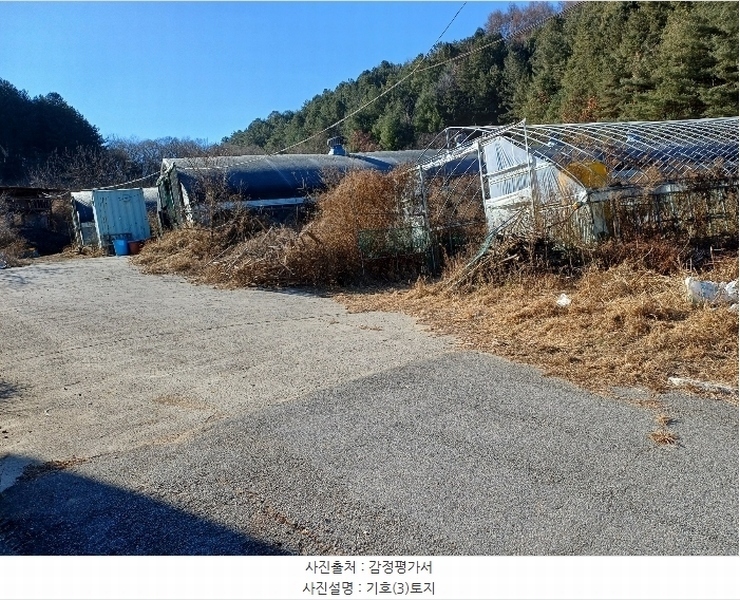 2024타경104171 경상북도 봉화군 명호면 풍호리 893 농지 경매 이미지