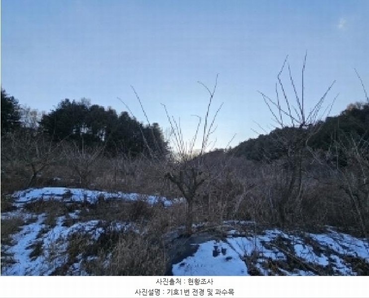 2024타경104171 경상북도 봉화군 명호면 풍호리 893 농지 경매 이미지