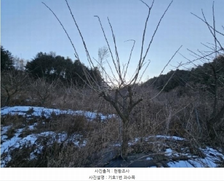 2024타경104171 경상북도 봉화군 명호면 풍호리 893 농지 경매 이미지