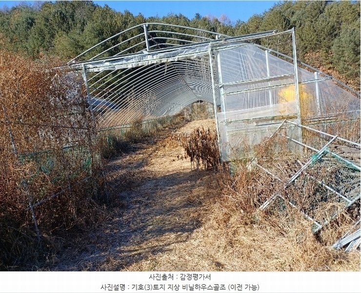 2024타경104171 경상북도 봉화군 명호면 풍호리 893 농지 경매 이미지