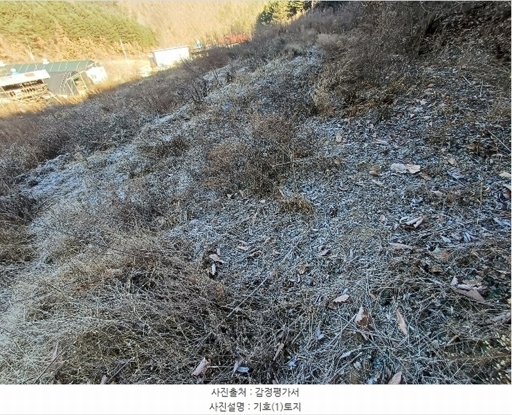 2024타경104171 경상북도 봉화군 명호면 풍호리 893 농지 경매 이미지