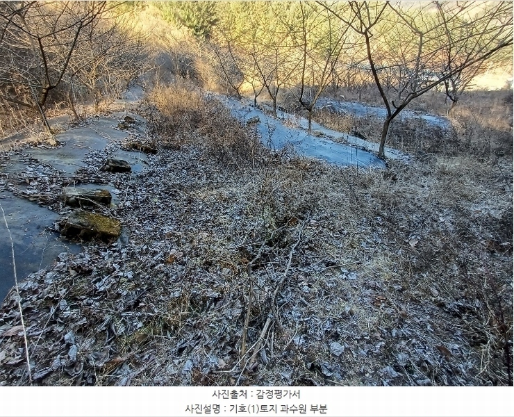 2024타경104171 경상북도 봉화군 명호면 풍호리 893 농지 경매 이미지