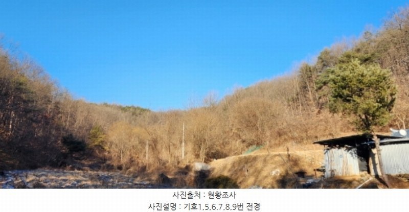 2024타경104393 경상북도 안동시 와룡면 주하리 318 농지 경매 이미지