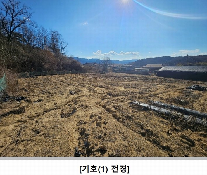 2025타경100008 경상북도 안동시 풍천면 도양리 1050 농지 경매 이미지