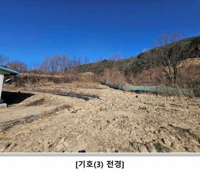 2025타경100008 경상북도 안동시 풍천면 도양리 1050 농지 경매 이미지