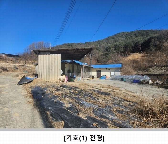 2025타경100008 경상북도 안동시 풍천면 도양리 1050 농지 경매 이미지