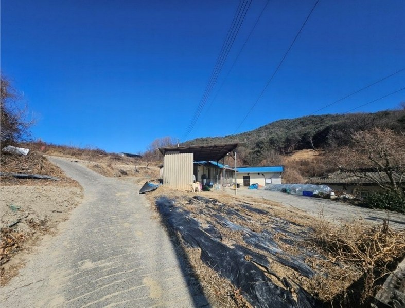 2025타경100008 경상북도 안동시 풍천면 도양리 1050 농지 경매 이미지