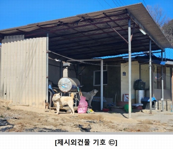 2025타경100008 경상북도 안동시 풍천면 도양리 1050 농지 경매 이미지