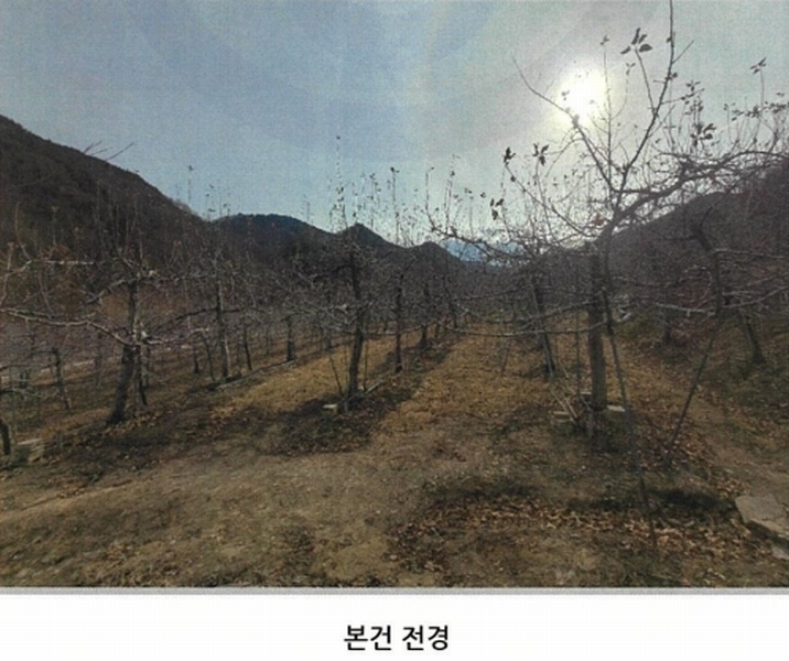 2025타경100138 경상북도 안동시 북후면 석탑리 737 농지 경매 이미지