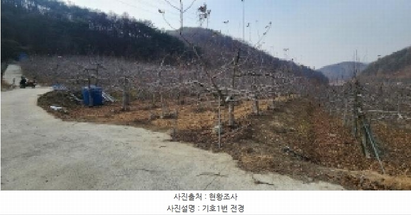 2025타경100138 경상북도 안동시 북후면 석탑리 737 농지 경매 이미지