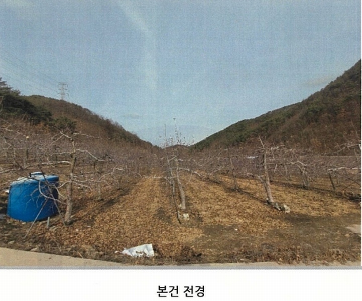 2025타경100138 경상북도 안동시 북후면 석탑리 737 농지 경매 이미지