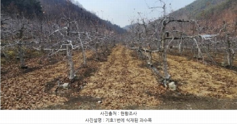 2025타경100138 경상북도 안동시 북후면 석탑리 737 농지 경매 이미지