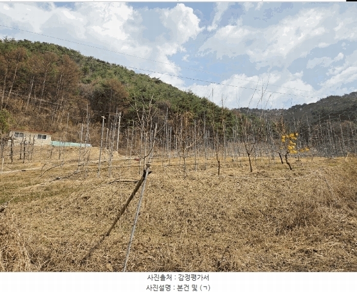 2025타경100206 경상북도 봉화군 물야면 개단리 110 과수원 경매 이미지