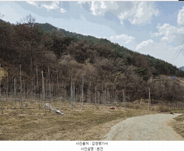 2025타경100206 경상북도 봉화군 물야면 개단리 110 과수원 경매 이미지