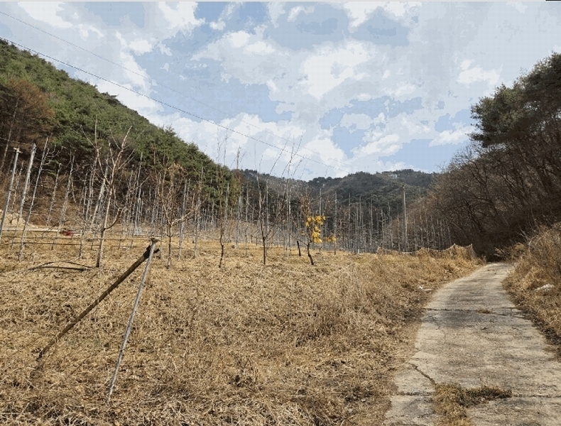 2025타경100206 경상북도 봉화군 물야면 개단리 110 과수원 경매 이미지